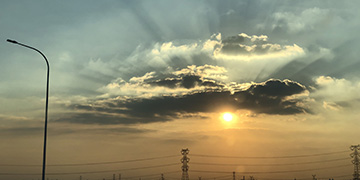 浈江小麦技术优势