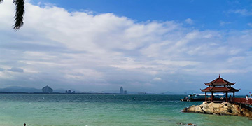 浈江小麦资源优势
